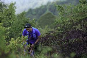 BIB: 
                            <button type="button" onclick="openModal(24761842)" class="btn btn-primary btn-sm float-right btn-popup" data-toggle="modal" data-target=".modal-high-quality">
                        <i class="fas fa-shopping-cart"></i> Add to Cart
                    </button>
                                            <button type="button" onclick="isThisMe(24761842, true)" class="btn btn-success btn-sm float-right btn-popup btn-isme hidden" data-toggle="tooltip" data-placement="bottom" title="นี่คือรูปของคุณใช่ไหม คลิกที่นี่เพื่อเอาเข้าอัลบั้ม">
                        <i class="fas fa-plus"></i> Add to album
                    </button>
                    <button type="button" onclick="isThisMe(24761842, false)" class="btn btn-warning btn-sm float-right btn-popup btn-isnotme hidden">
                        <i class="fas fa-ban"></i> Remove from album
                    </button>